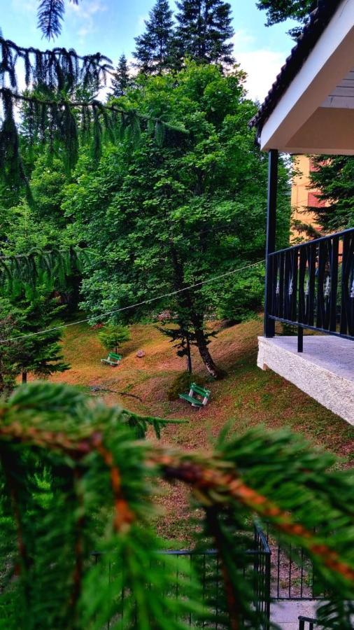 فندق Bujtina Te Grima ثيث المظهر الخارجي الصورة